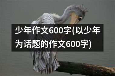 少年作文600字(以少年为话题的作文600字)