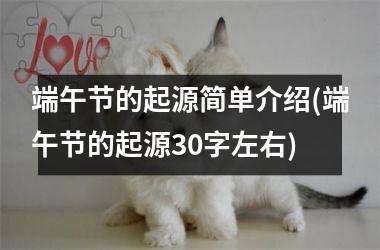 <h3>端午节的起源简单介绍(端午节的起源30字左右)