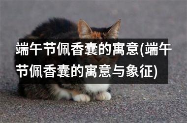 <h3>端午节佩香囊的寓意(端午节佩香囊的寓意与象征)