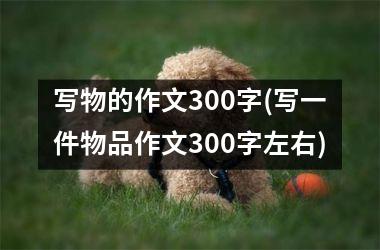 写物的作文300字(写一件物品作文300字左右)