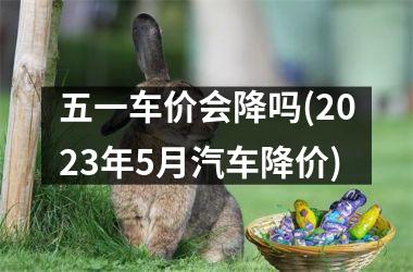 <h3>五一车价会降吗(2025年5月汽车降价)