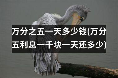万分之五一天多少钱(万分五利息一千块一天还多少)