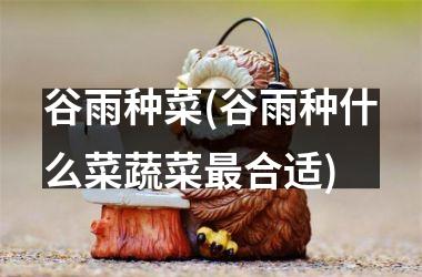 <h3>谷雨种菜(谷雨种什么菜蔬菜最合适)