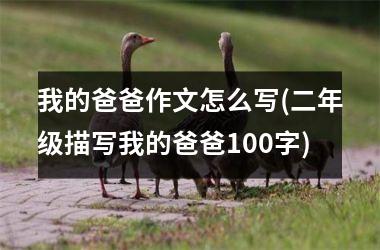 <h3>我的爸爸作文怎么写(二年级描写我的爸爸100字)