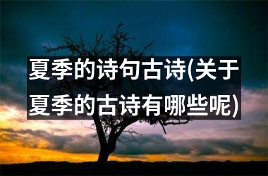 夏季的诗句古诗(关于夏季的古诗有哪些呢)