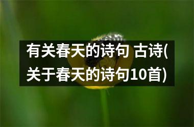 <h3>有关春天的诗句 古诗(关于春天的诗句10首)