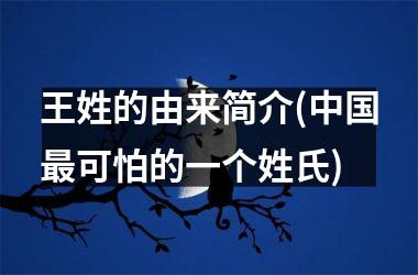 王姓的由来简介(最可怕的一个姓氏)