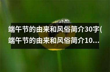<h3>端午节的由来和风俗简介30字(端午节的由来和风俗简介100字)