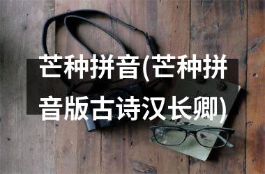 <h3>芒种拼音(芒种拼音版古诗汉长卿)