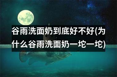 <h3>谷雨洗面奶到底好不好(为什么谷雨洗面奶一坨一坨)
