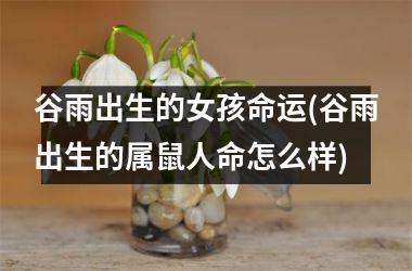<h3>谷雨出生的女孩命运(谷雨出生的属鼠人命怎么样)