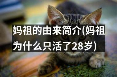 妈祖的由来简介(妈祖为什么只活了28岁)
