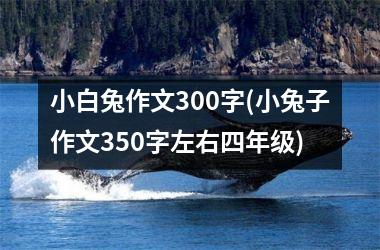 <h3>小白兔作文300字(小兔子作文350字左右四年级)
