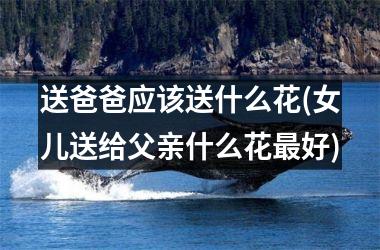 送爸爸应该送什么花(女儿送给父亲什么花最好)