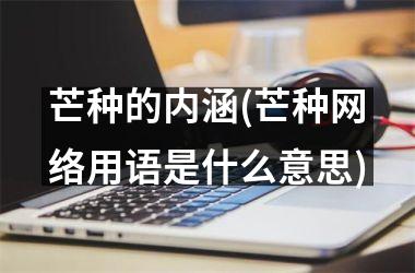 芒种的内涵(芒种网络用语是什么意思)