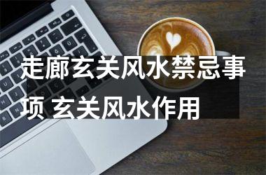 <h3>走廊玄关风水禁忌事项 玄关风水作用