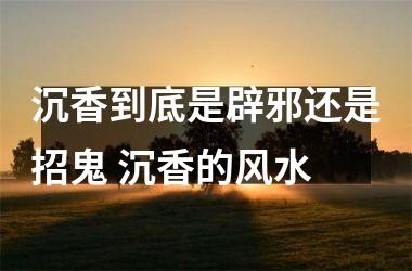<h3>沉香到底是辟邪还是招鬼 沉香的风水