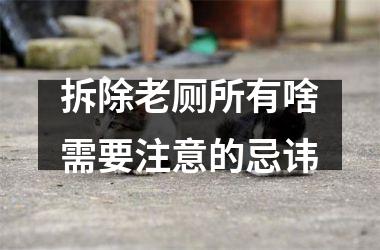 <h3>拆除老厕所有啥需要注意的忌讳