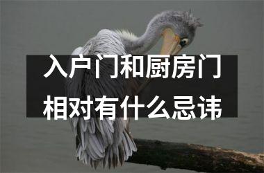 <h3>入户门和厨房门相对有什么忌讳