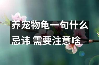 <h3>养宠物龟一句什么忌讳 需要注意啥