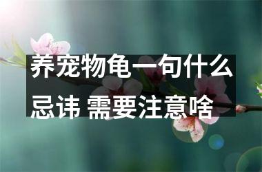 养宠物龟一句什么忌讳 需要注意啥