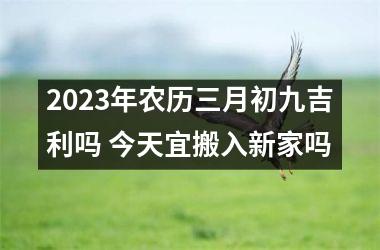 <h3>2025年农历三月初九吉利吗 今天宜搬入新家吗
