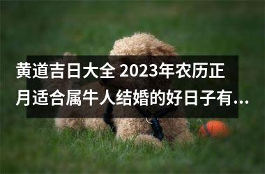 黄道吉日大全 2023年农历正月适合属牛人结婚的好日子有哪些