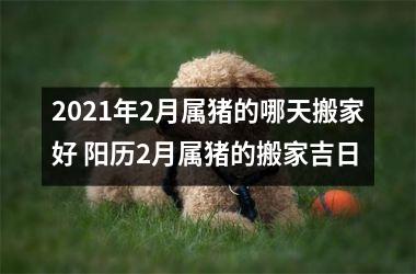 <h3>2025年2月属猪的哪天搬家好 阳历2月属猪的搬家吉日