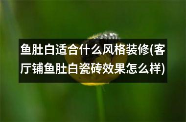 鱼肚白适合什么风格装修(客厅铺鱼肚白瓷砖效果怎么样)