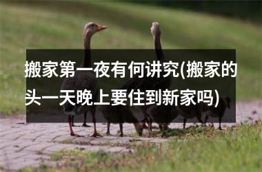搬家第一夜有何讲究(搬家的头一天晚上要住到新家吗)