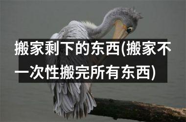 搬家剩下的东西(搬家不一次性搬完所有东西)