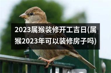 2025属猴装修开工吉日(属猴2025年可以装修房子吗)