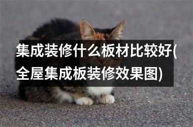 集成装修什么板材比较好(全屋集成板装修效果图)