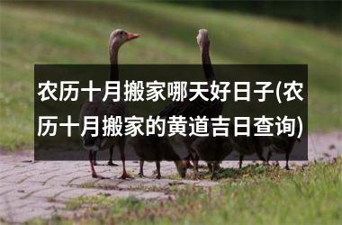 农历十月搬家哪天好日子(农历十月搬家的黄道吉日查询)