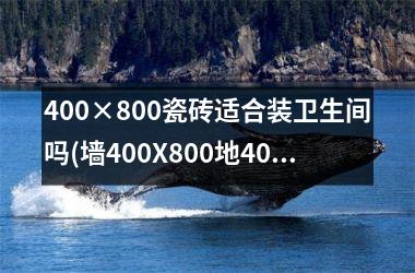 400×800瓷砖适合装卫生间吗(墙400X800地400X400对缝)