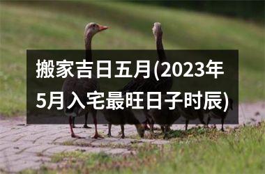 搬家吉日五月(2025年5月入宅最旺日子时辰)