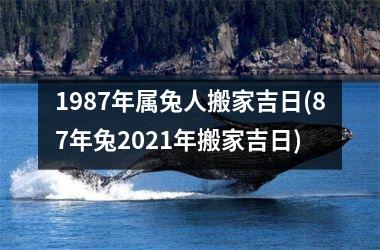 <h3>1987年属兔人搬家吉日(87年兔2025年搬家吉日)