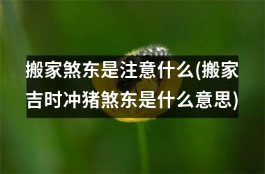 搬家煞东是注意什么(搬家吉时冲猪煞东是什么意思)