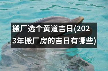 <h3>搬厂选个黄道吉日(2025年搬厂房的吉日有哪些)