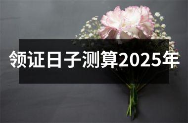 <h3>领证日子测算2025年