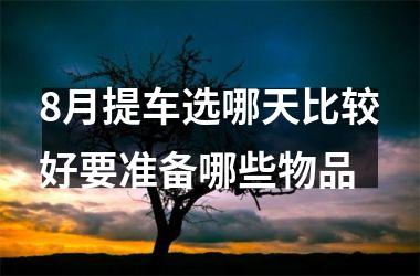 <h3>8月提车选哪天比较好要准备哪些物品