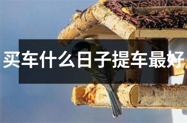 <h3>买车什么日子提车最好
