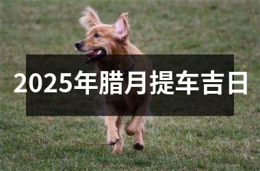<h3>2025年腊月提车吉日