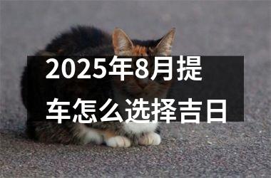 2025年8月提车怎么选择吉日