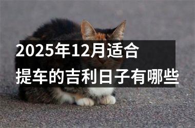 <h3>2025年12月适合提车的吉利日子有哪些
