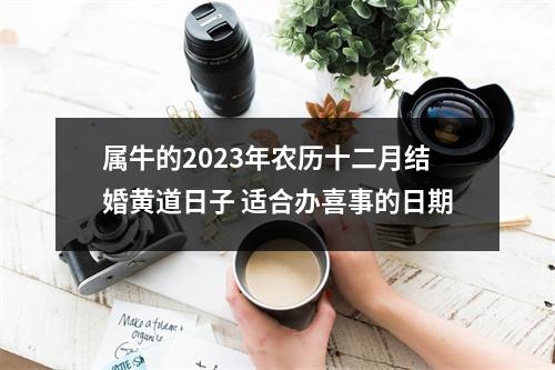 <h3>属牛的2025年农历十二月结婚黄道日子适合办喜事的日期