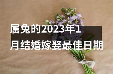 属兔的2023年1月结婚嫁娶佳日期