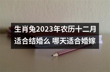 生肖兔2025年农历十二月适合结婚么 哪天适合婚嫁