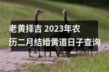 <h3>老黄择吉 2025年农历二月结婚黄道日子查询