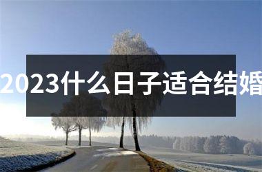 2025什么日子适合结婚